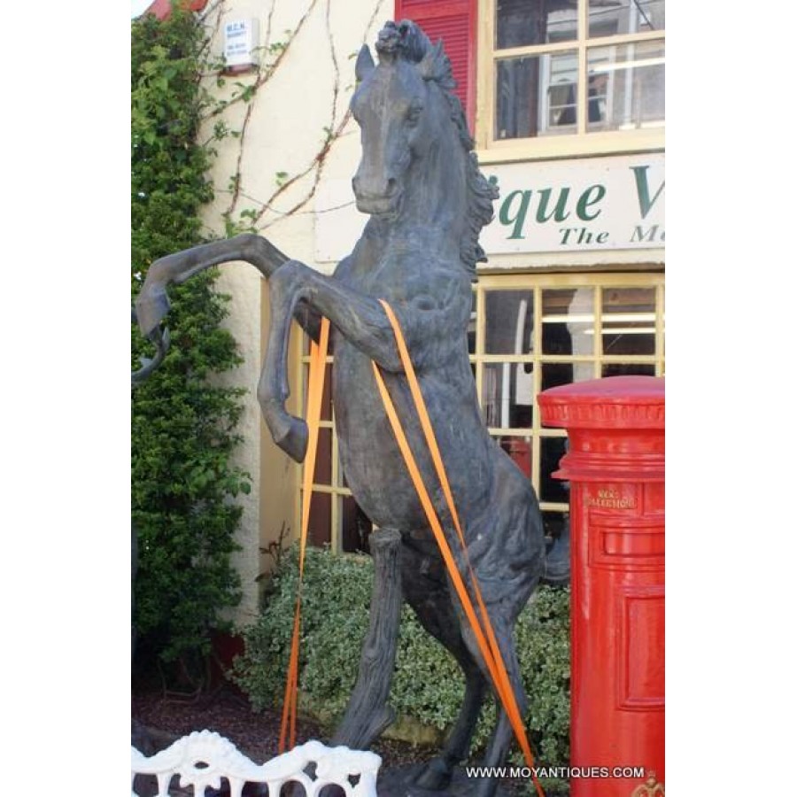 Bronze Horse Stallion Bronze Horse Stallion